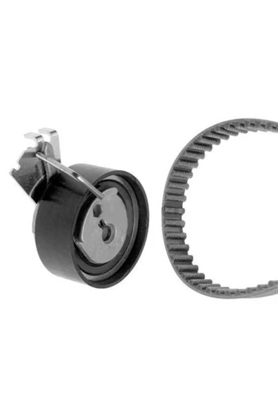 PSA 0831.S0 0 TRİGER EKSANTRİK GERGİ SETİ FIORINO / 106 206 306 ürün görseli 1