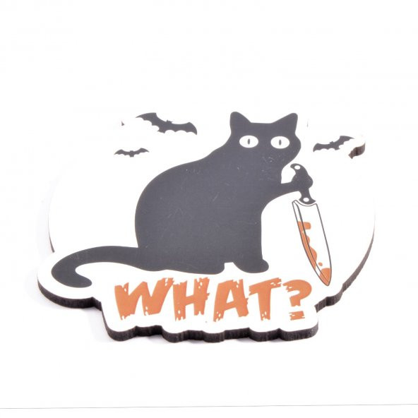 What Bardak Altlığı