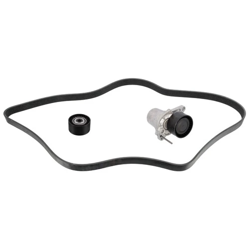 FEBI 183563  Kanallı V Kayışı Seti Renault 6262000270 - 1