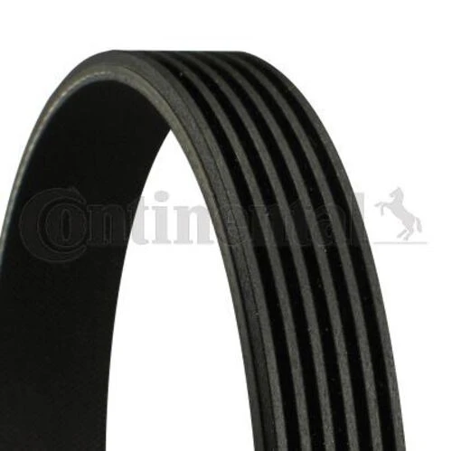 Continental 6PK1145 CONTITECH  V KAYIŞI MEGANE 95-97 2.0 16V