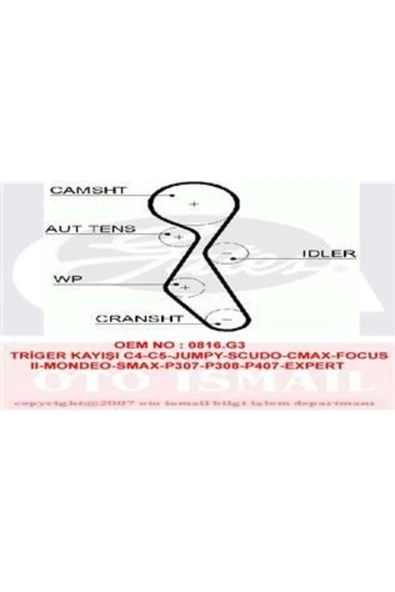 Gates 5606XS TRIGER EKSANTRIK KAYISI SCUDO / 307 308 407 806 807 EXPERT / C4 C ürün görseli 1
