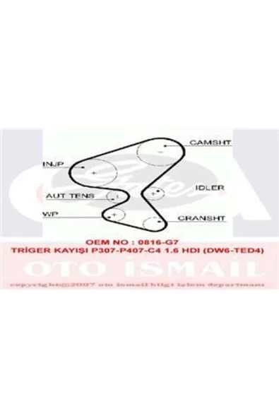 Gates 5598XS TRIGER EKSANTRIK KAYISI 206 207 307 308 407 PARTNER ürün görseli 1