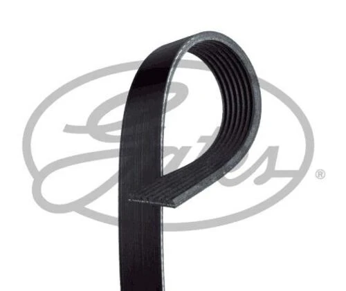 Gates 7PK738 Kanallı V Kayışı 7Pk738