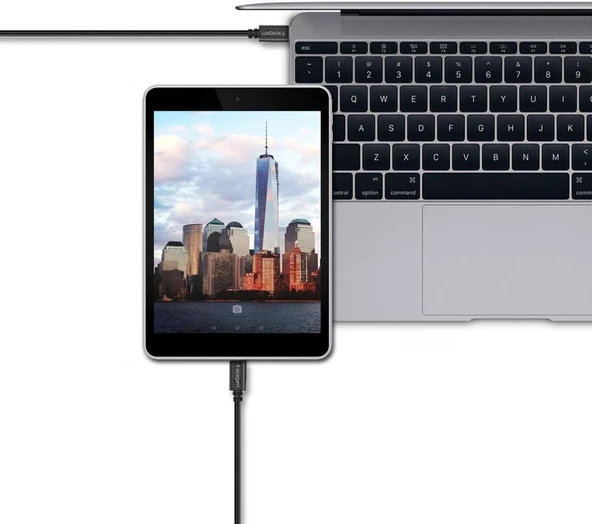 Spigen Essential USB-C to USB-A 3.1 Hızlı Şarj ve Data Kablo (1 Metre) C10C0 - 3