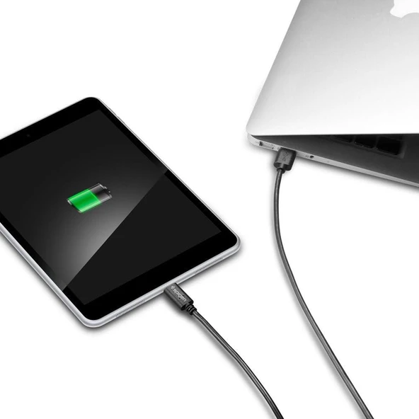 Spigen Essential USB-C to USB-A 3.1 Hızlı Şarj ve Data Kablo (1 Metre) C10C0 - 4