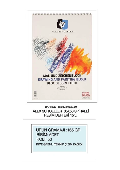 Alex Schoeller Spiralli Resim Defteri 35x50 cm - 2