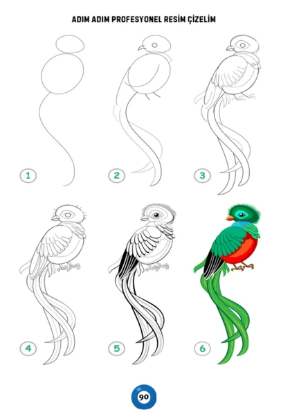 Adım Adım Resim Çizmeyi Öğreten Kitap (94 DERS) - 4