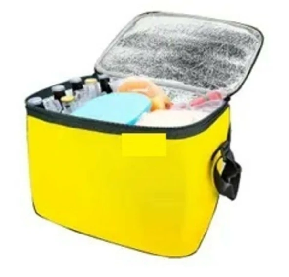 Termos Çanta - Piknik Çantası Buz Aküsü Hediyeli 40LT (483483) - 4