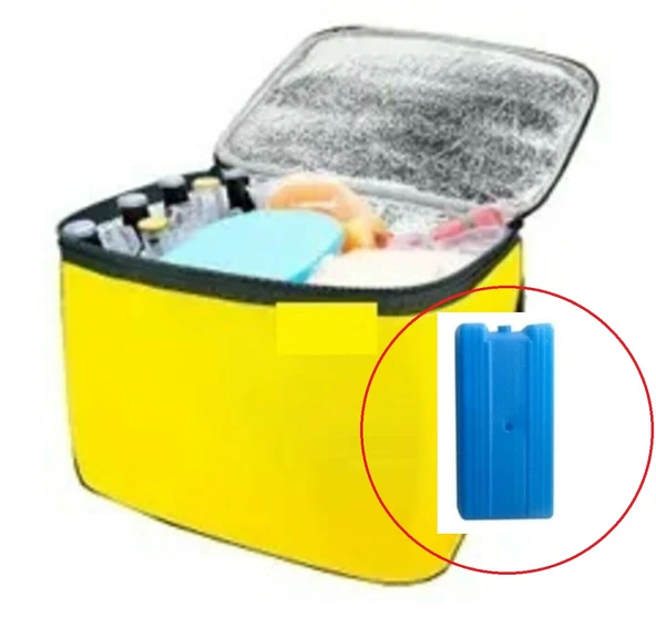 Termos Çanta - Piknik Çantası Buz Aküsü Hediyeli 24LT (483483) - 3
