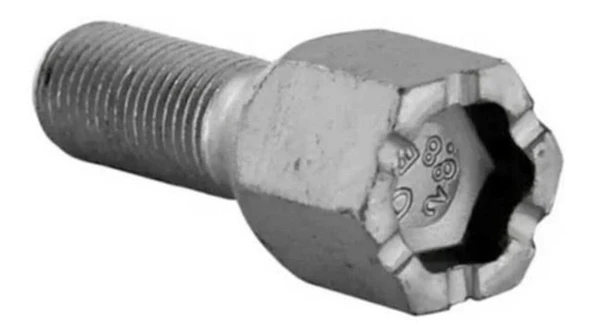 Bijon Civatası Palio Siena ürün görseli 1