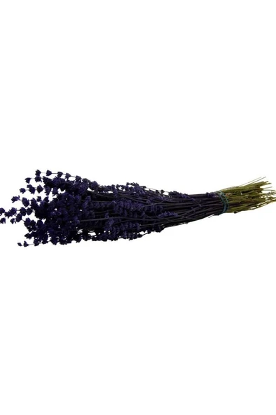 Lavanta Demeti Mor Kurutulmuş Çiçek 40-50 cm - 2