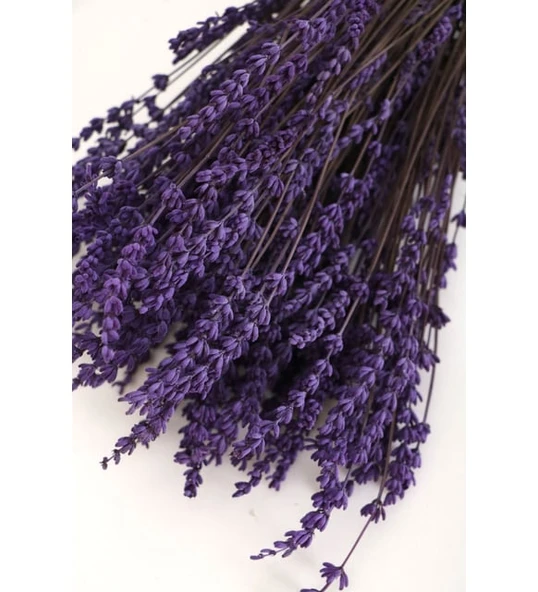 Lavanta Demeti Mor Kurutulmuş Çiçek 40-50 cm
