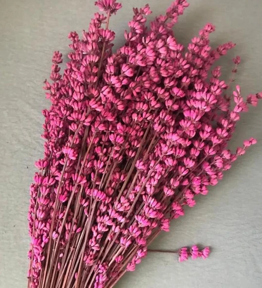Şoklanmış Kırmızı Lavanta Buketi Demeti 40-50 cm - 2