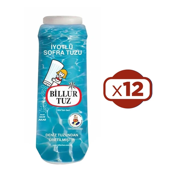 Billur Tuz Plastik Tuzluklu 500 G x 12 Adet