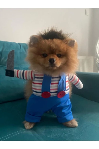Chucky Köpek Kostümü ve Aksesuarı - 5