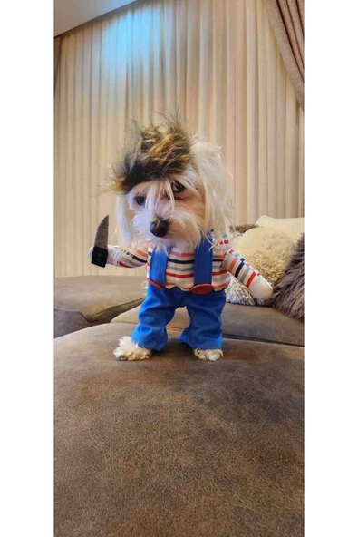 Chucky Köpek Kostümü ve Aksesuarı - 4