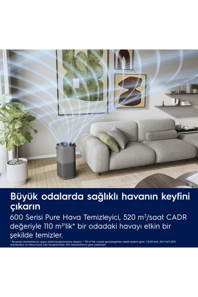 Electrolux EPO60571DG Pure 600 Hava Temizleme Cihazı - 5