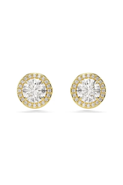 Swarovski Kristal Kadın Küpe