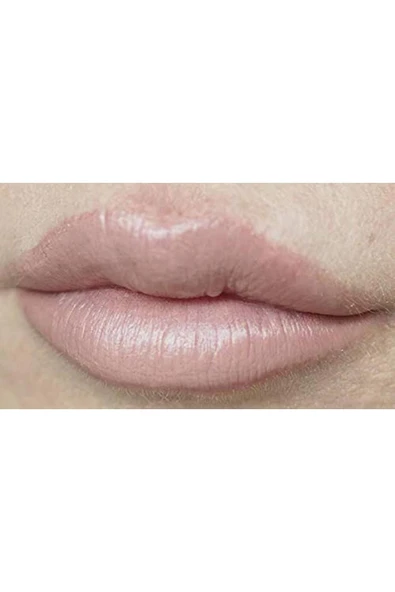 Golden Rose Nude Look Perf Matte Lips No:02 Peachy Nude 1 Paket - 3