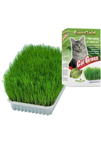 EuroGold Kedi Çimi