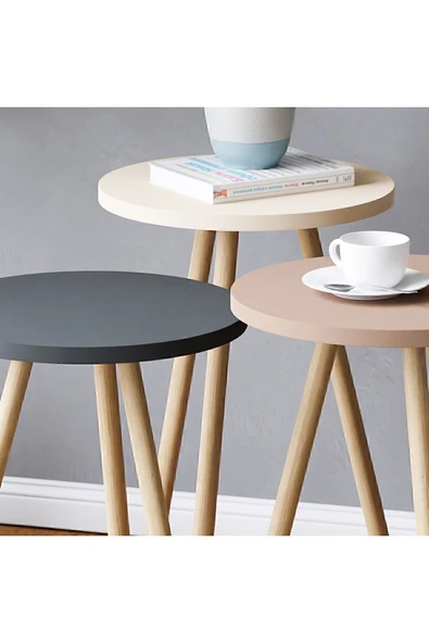 interGO Renkli Üçlü Zigon Sehpa Ahşap Ayaklı Yuvarlak Pastel Tasarım Gri Krem Cappuccino - 2