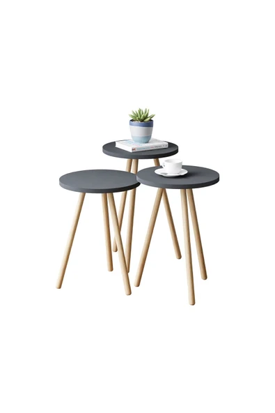 interGO Renkli Üçlü Zigon Sehpa Ahşap Ayaklı Yuvarlak Pastel Tasarım Gri - Resim 3