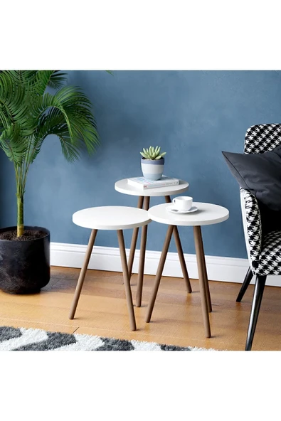 interGO Renkli Üçlü Zigon Sehpa Ahşap Ayaklı Yuvarlak Pastel Tasarım Beyaz