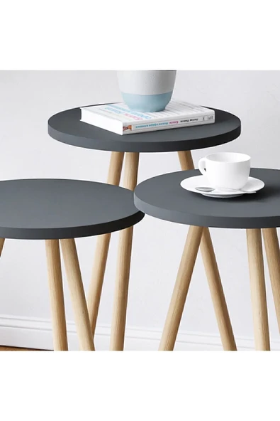 interGO Renkli Üçlü Zigon Sehpa Ahşap Ayaklı Yuvarlak Pastel Tasarım Gri - Resim 2