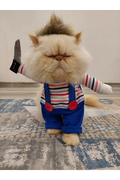 Chucky Kedi Kostümü ve Aksesuarı - 2