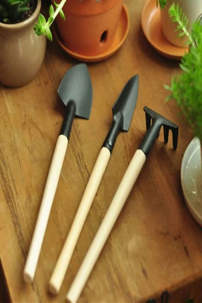 Ahşap Saplı Bonsai Çiçekleri Ve Saksı Bitkileri Için Bahçe Araçları Mini Kürek Tırmık Seti 6 Parça - 2