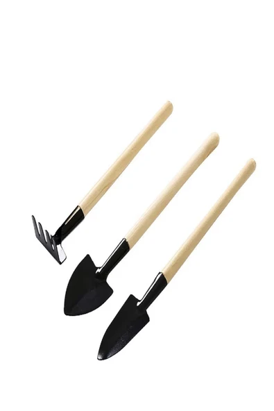 Ahşap Saplı Bonsai Çiçekleri Ve Saksı Bitkileri Için Bahçe Araçları Mini Kürek Tırmık Seti 6 Parça - 6