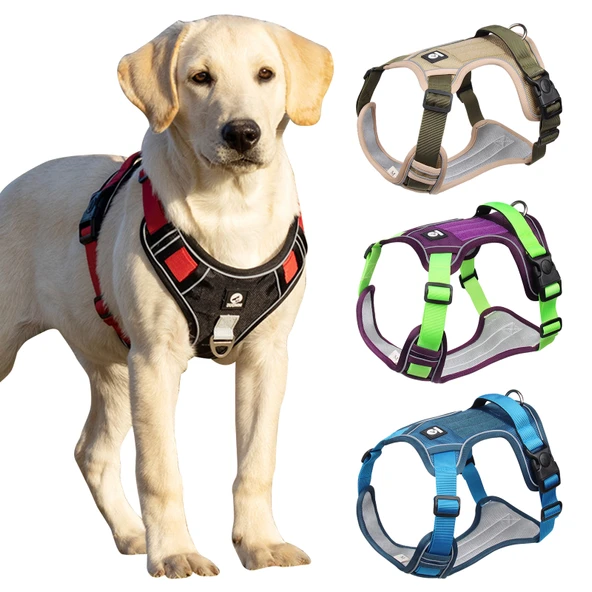 Yansıtıcı Köpek Harnessi Taktiği Yelek - Renk 02 - Boyut M - 8