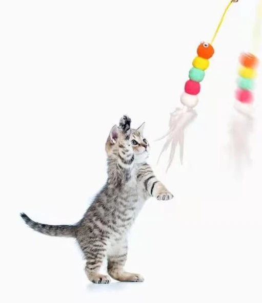 Elastik Kendinden Yapışkanlı Solucan Kedi Oltası - 3