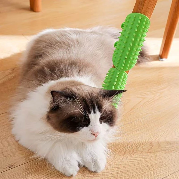 Kedi Tüy Temizleme Masaj Tarak Fırçası - As Gösterildi - 3