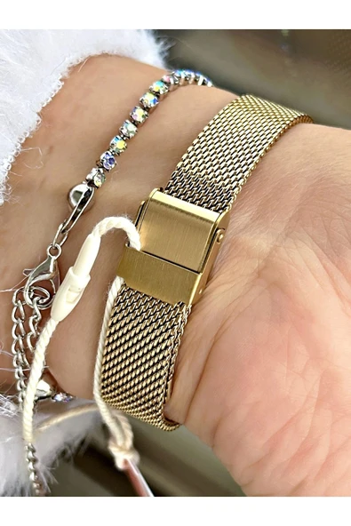 Ferrucci FC 0125 03467H.05 Çelik Kordon Kadın Kol Saati - Resim 4