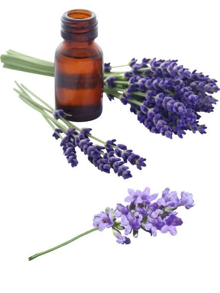 Doğaltercih Lavanta Uçucu Yağı 10 ml %100 Saf ve Doğal (Lavender Essential Oil) - 6