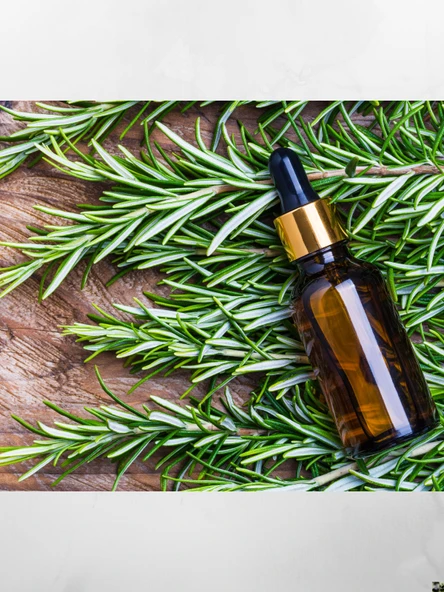Doğaltercih Biberiye Uçucu Yağı 10 ml Katkısız %100 Saf Ve Doğal (Rosemary Oil) - 4