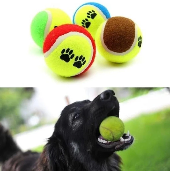 Süslüpati 3lü Renkli Desenli Tenis Topu Kedi Köpek Oyuncağı - 3