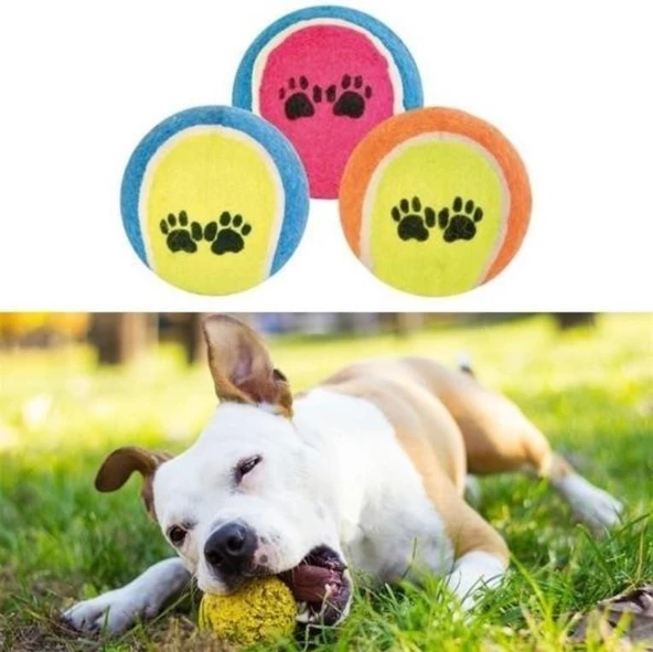 Süslüpati 3lü Renkli Desenli Tenis Topu Kedi Köpek Oyuncağı - 2