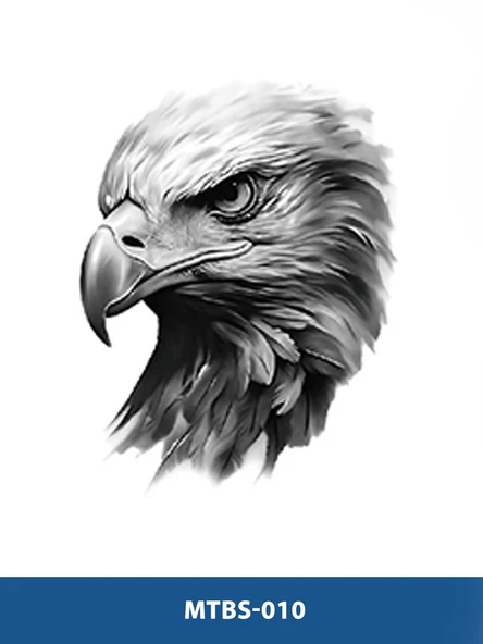 MTBS-013 ORTA BOY KARTAL DESEN GEÇİCİ DÖVME-TATTO ürün görseli