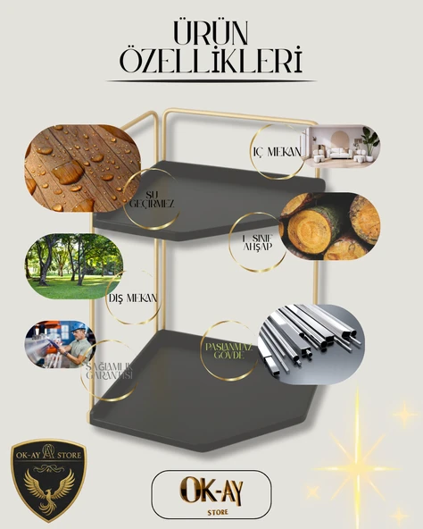 Dekoratif 2 Katlı Raf  Çok Amaçlı Organizer Paslanmaz Çelik & Ahşap Stand Salon, Mutfak, Banyo, Çalışma Alanı İçin - 4