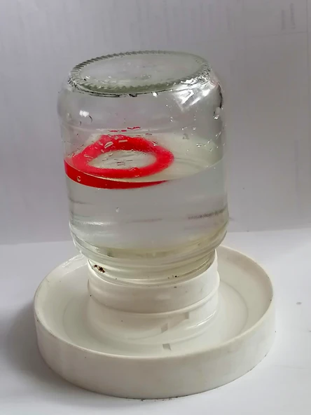 Byr 52 mm çapında dişli boğazlı 0.25 litrelik bir cam kavanoz için küçük tavuklar için otomatik ayarlanabilir vakum içen. (Plastik Aparattır!!!) 3D - 2