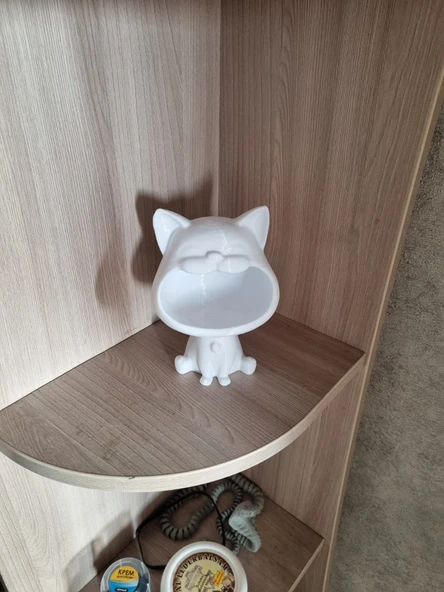 Kedi şekeri (Plastik Aparattır!!!)