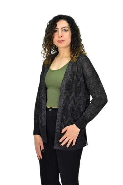 Kadın Triko Simli Mevsimlik Hırka BGL-ST04668 - Resim 3