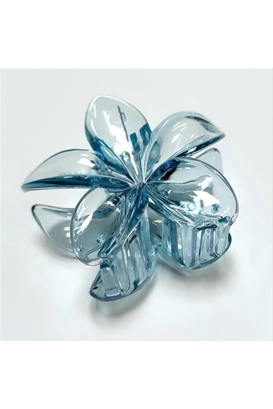 Lotus Toka 6 cm - Resim 2