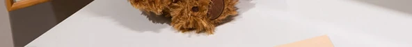 Sevimli Ayı Peluş Yastık - Hanhan Ayı Çifti - 40cm - 12