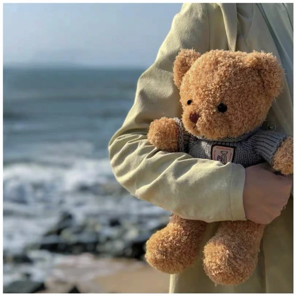 Sevimli Ayı Peluş Bebek - Dönme Çiçek Kadife Kar Beyazı Bayraklı 30cm - 2