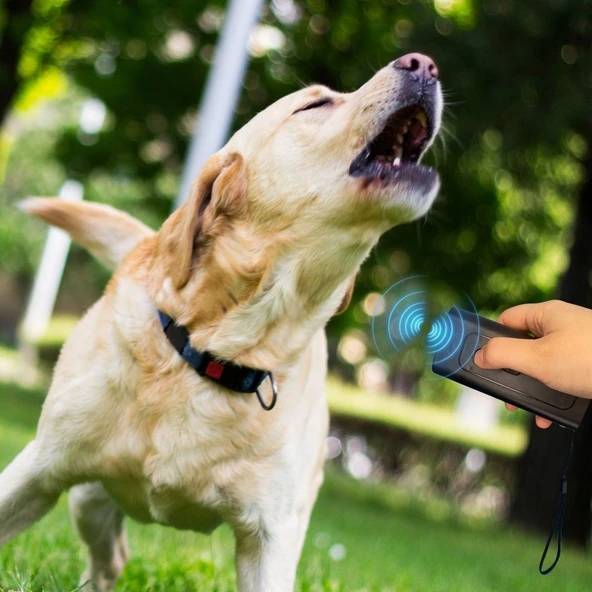 Ultrasonik Zarar Vermeyen Köpek Uzaklaştırıcı ve Eğitici Cihaz - 4