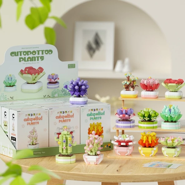 Bitki Saksısı Yapı Blokları Oyuncağı - 12 Parça Tam Set Çok Etli Ahşap Çerçeve Yok Hediye Kutusu ile