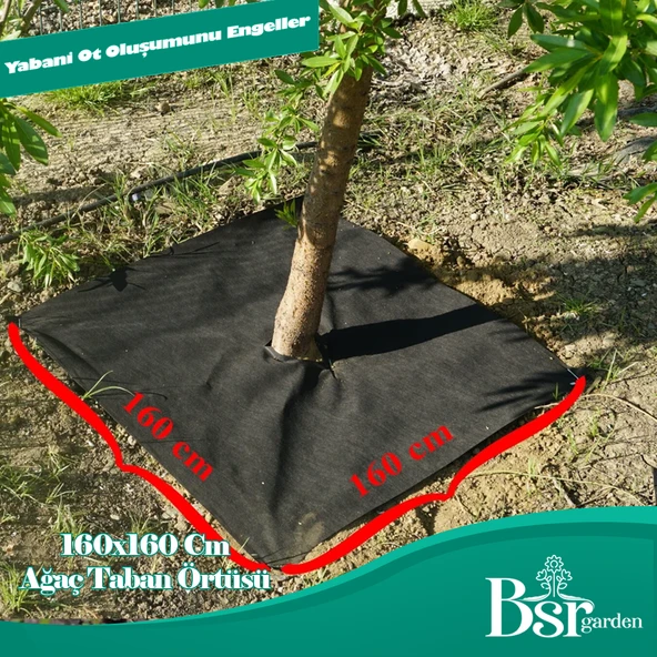 Ağaç Taban Örtüsü 160x160 20 Adet Bsr Garden - 2